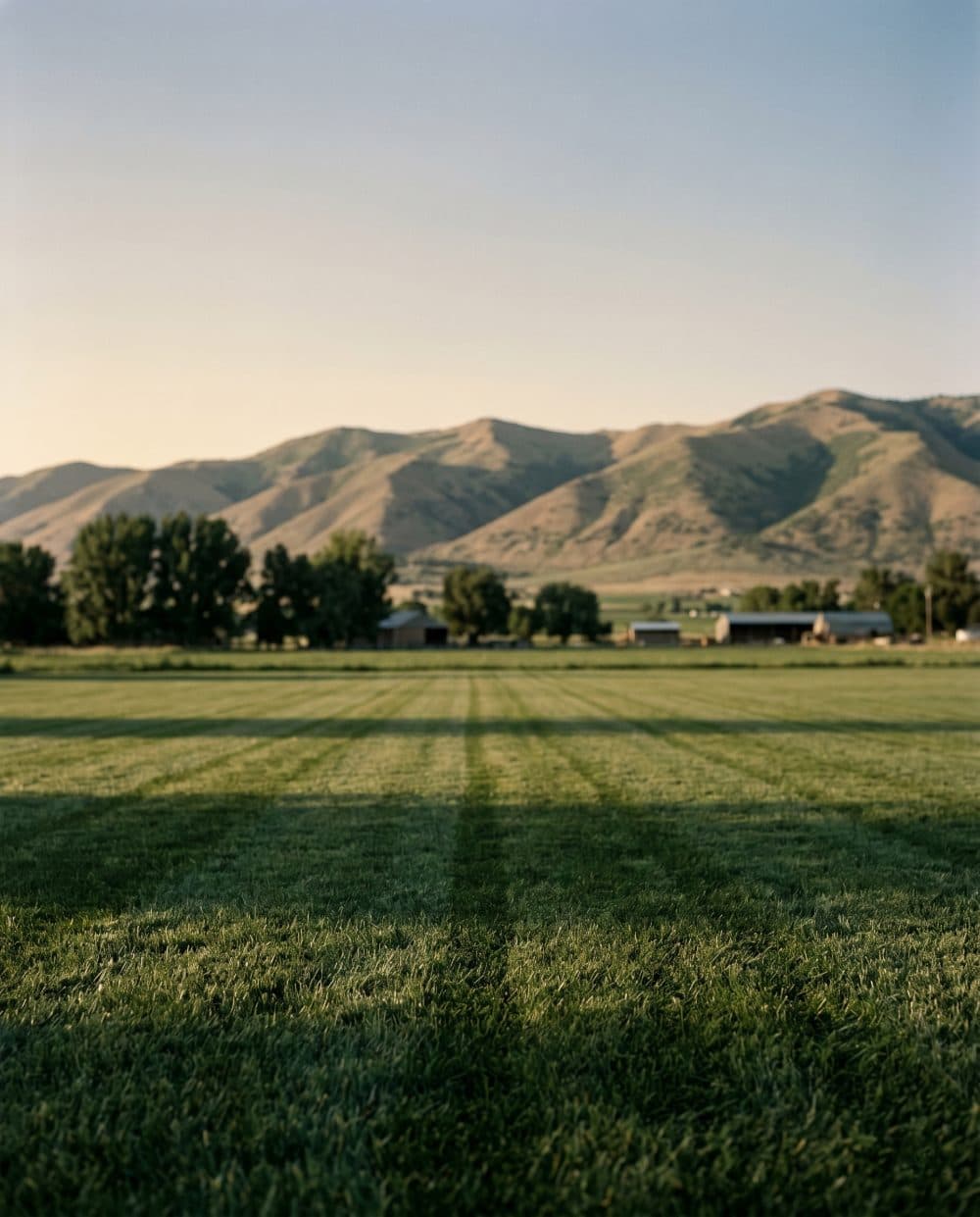A wide manicured lawn in the foreground recedes toward a line of cottonwoods and farm structures in the middle distance, with the soft sage-colored Wellsville Range rising on the horizon at golden hour.